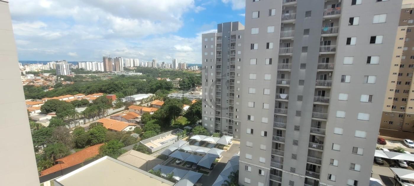 imagem-miniatura