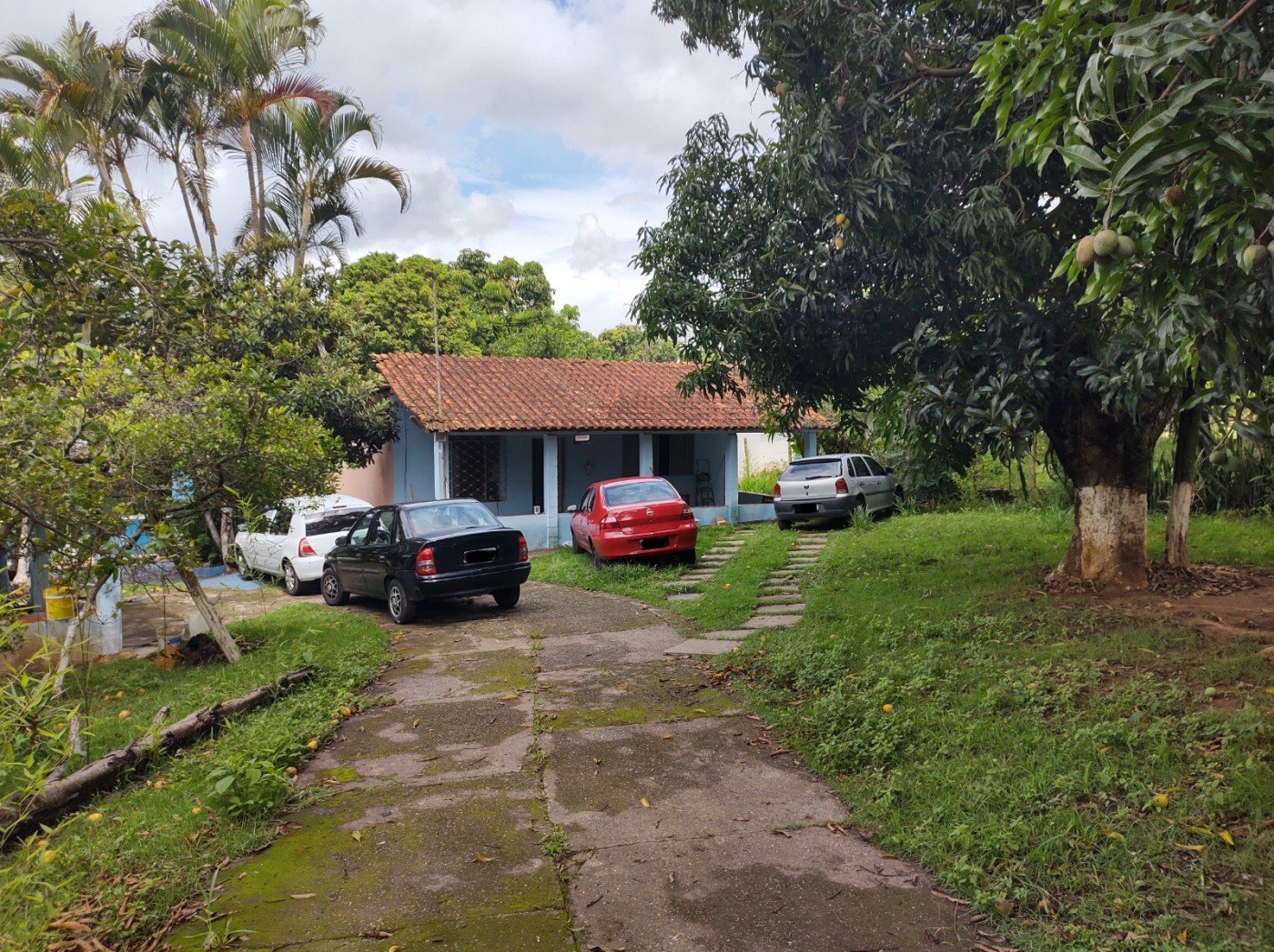 imagem-miniatura