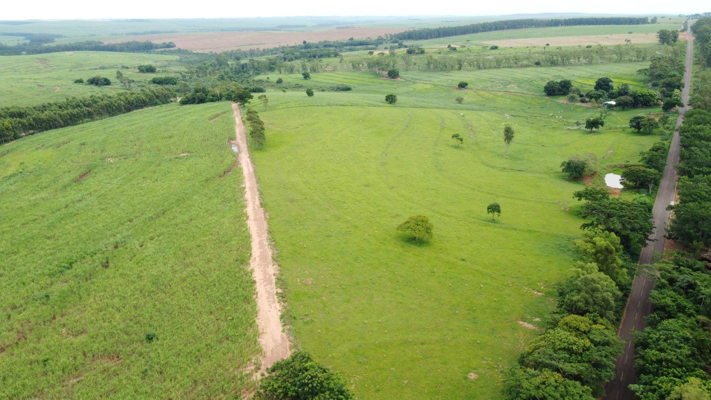 Sítio / Chácara para Venda - Ivaté, Área Rural de Umuarama