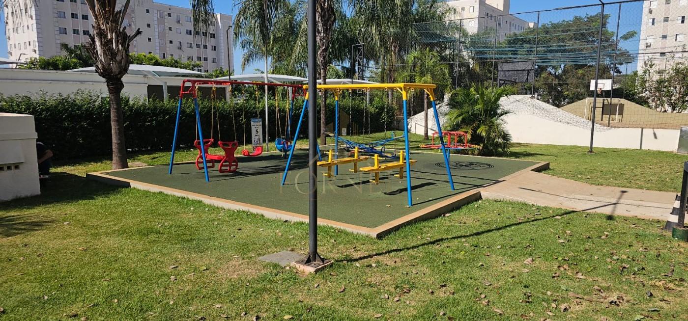 imagem-miniatura
