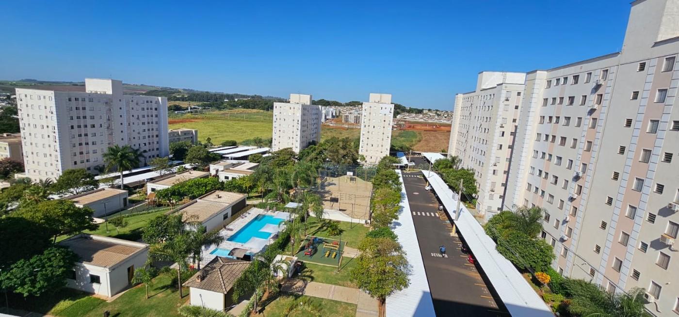 imagem-miniatura