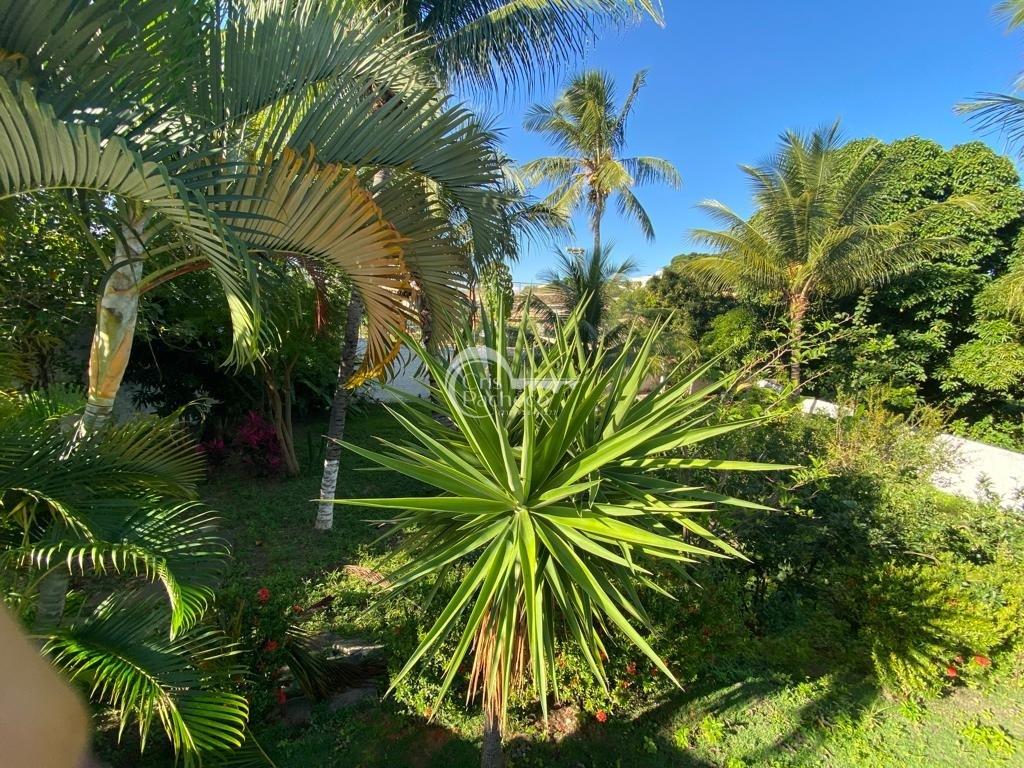 Foto 01