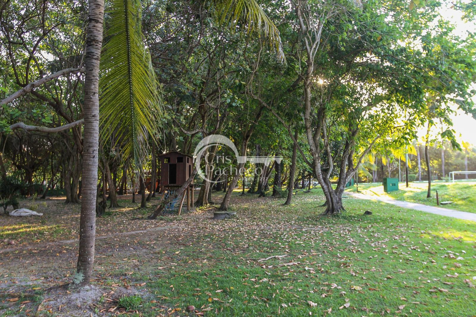BOSQUE