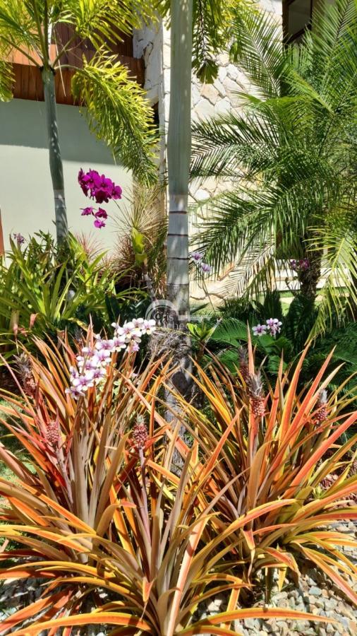 Foto 79