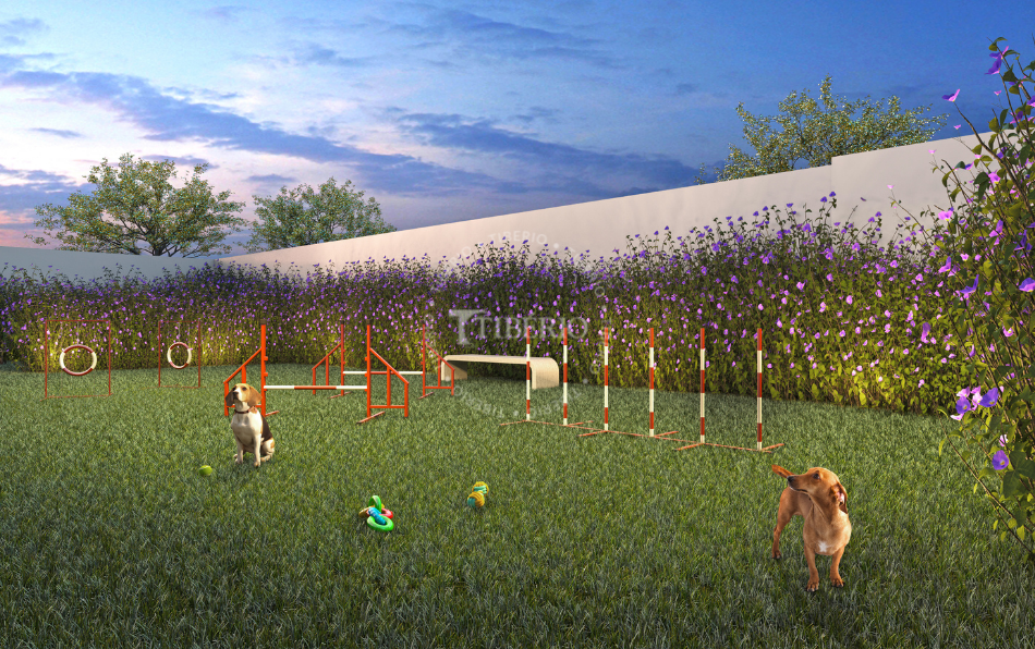 Pet place