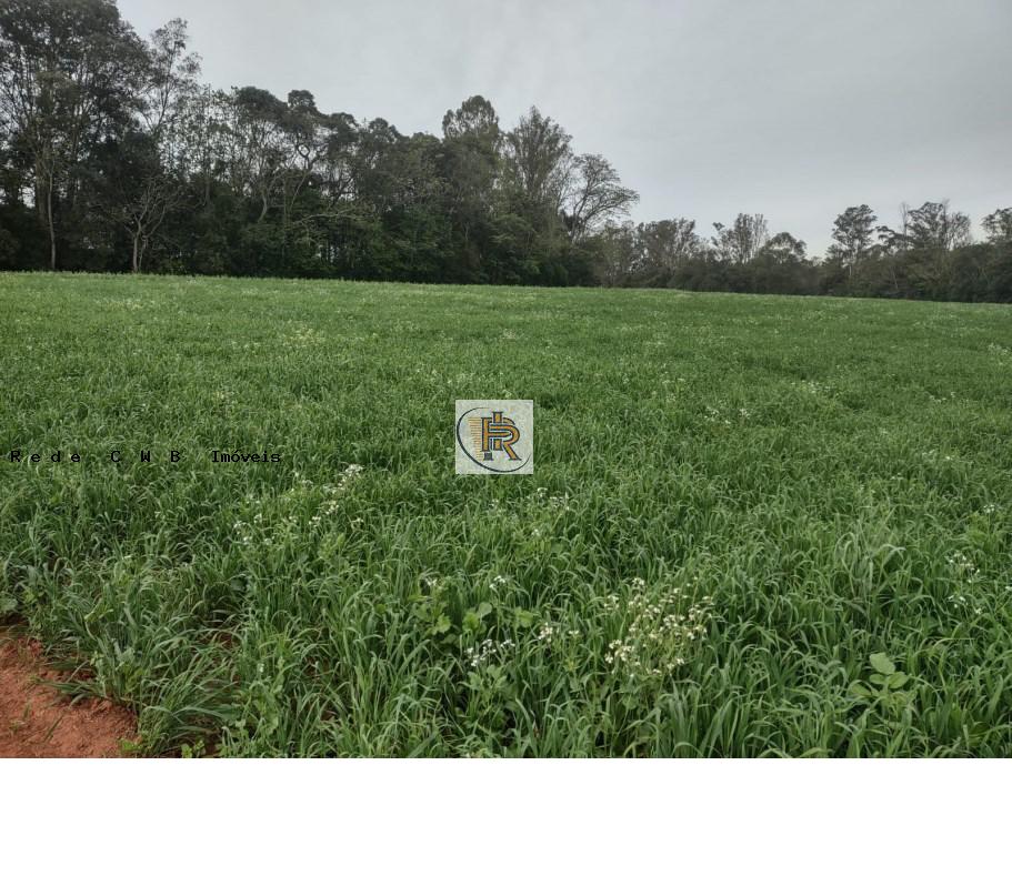 imagem-miniatura