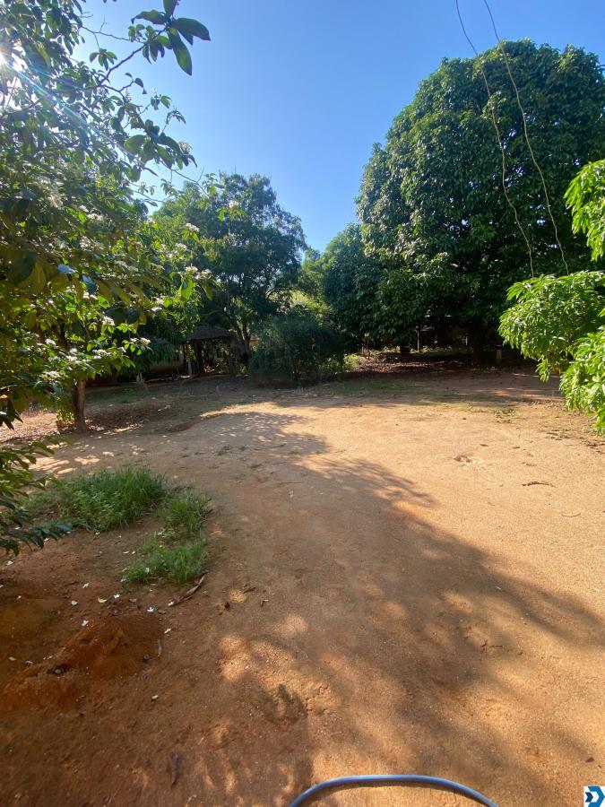 Foto 06