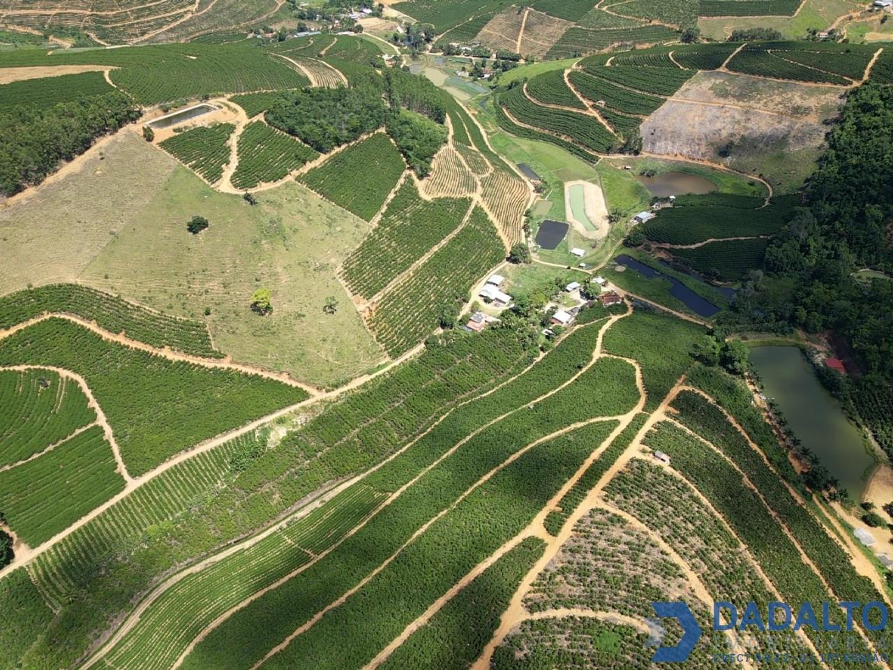Foto 07
