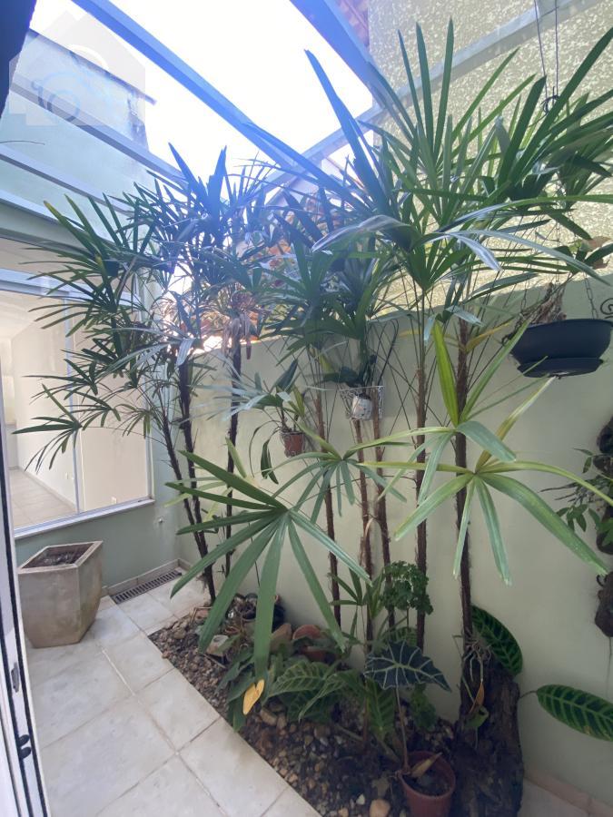 Jardim de inverno
