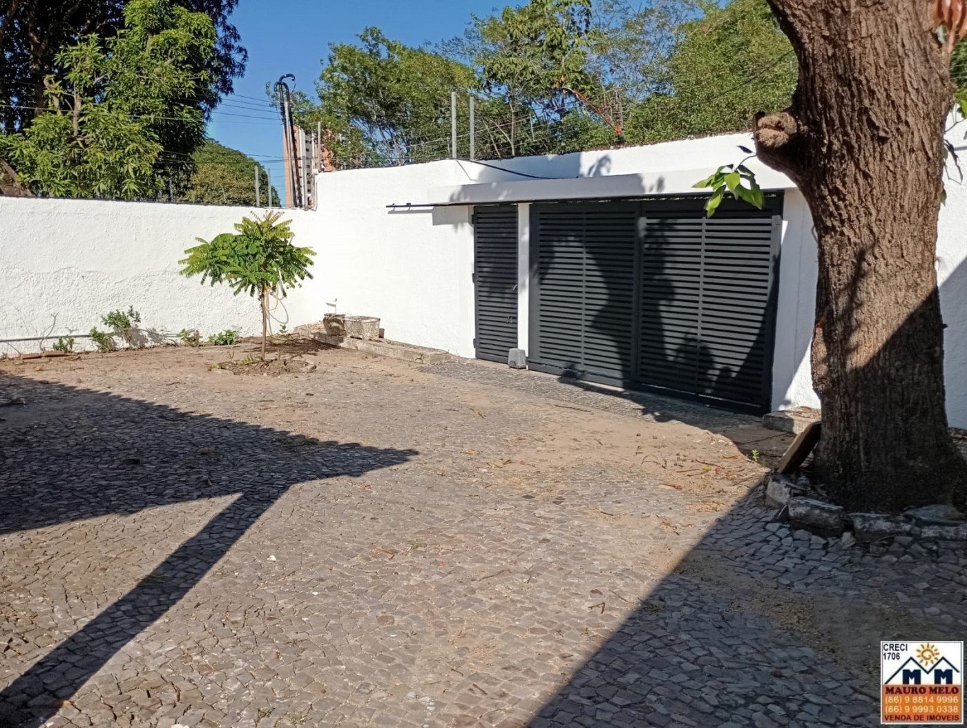 imagem-miniatura