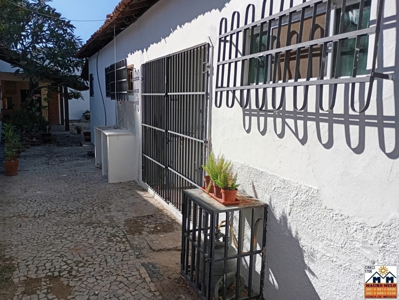 imagem-miniatura