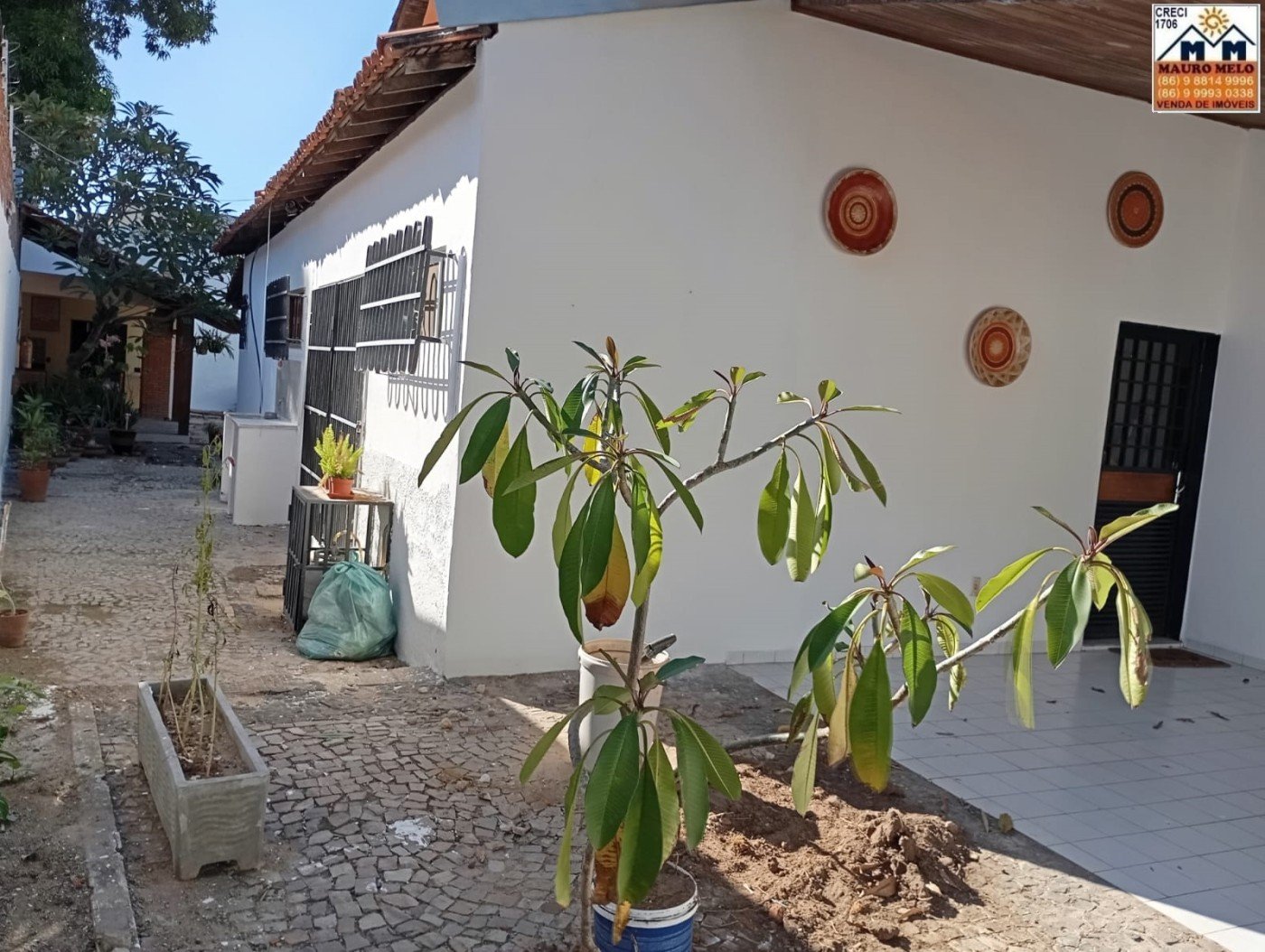 imagem-miniatura