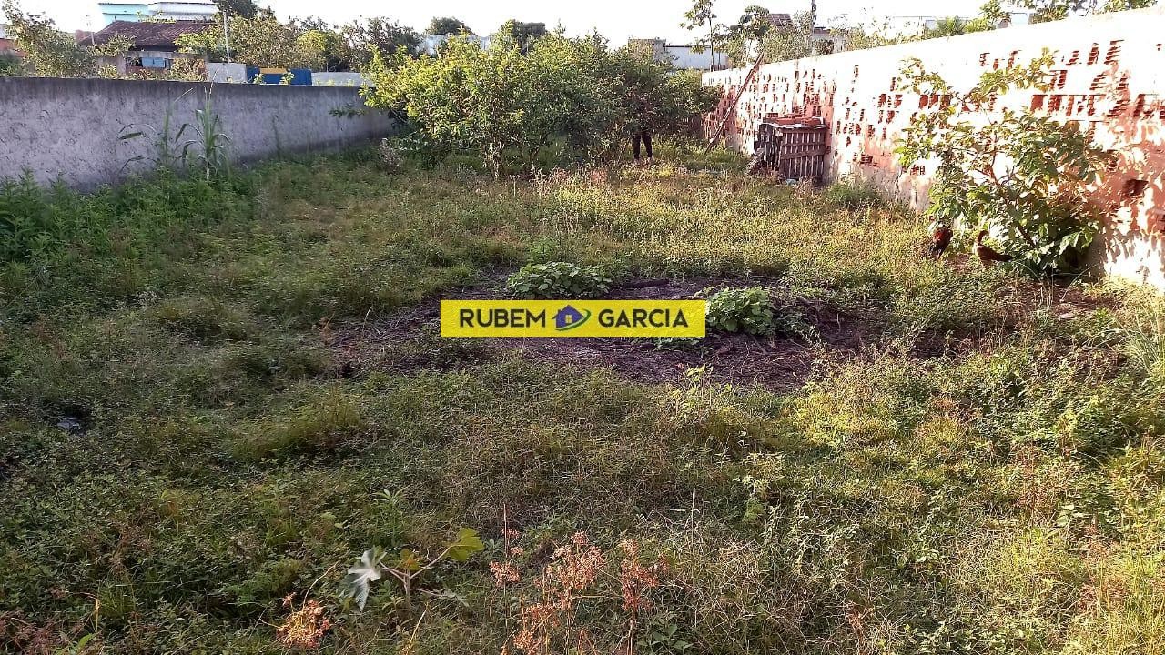 imagem-miniatura