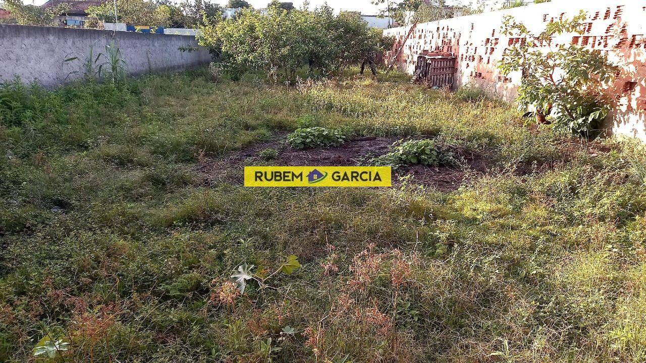 imagem-miniatura