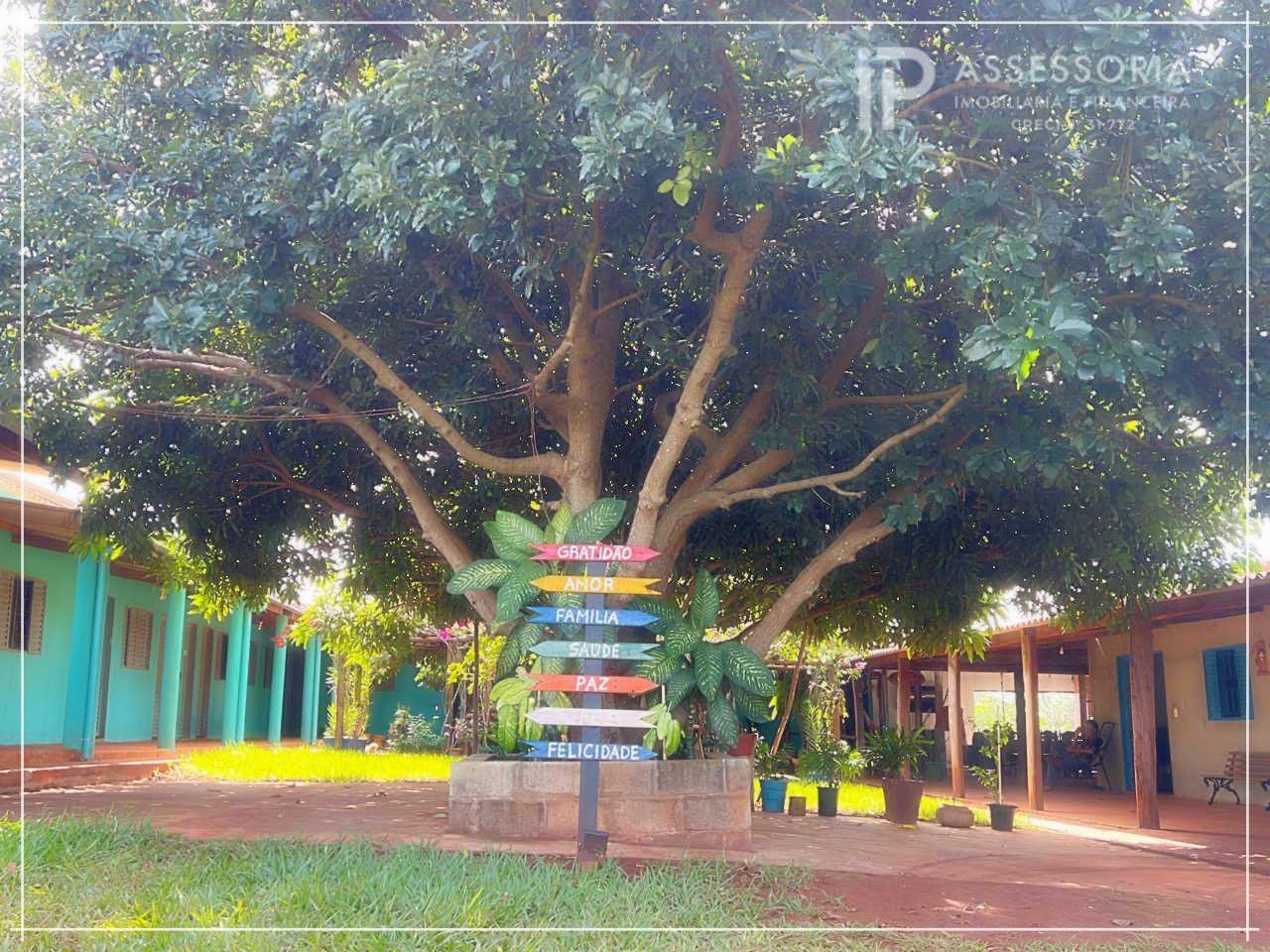 imagem-miniatura