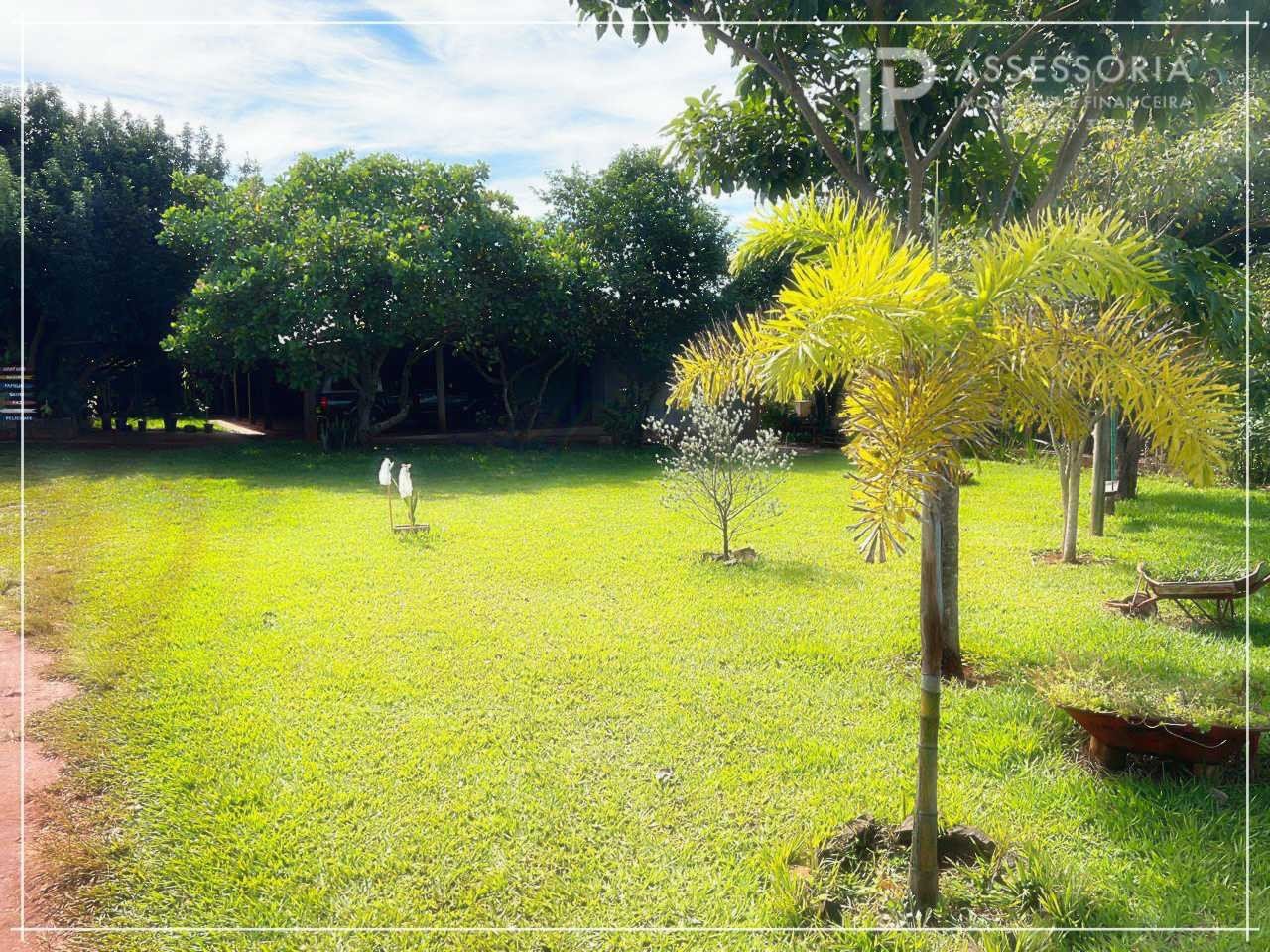 imagem-miniatura