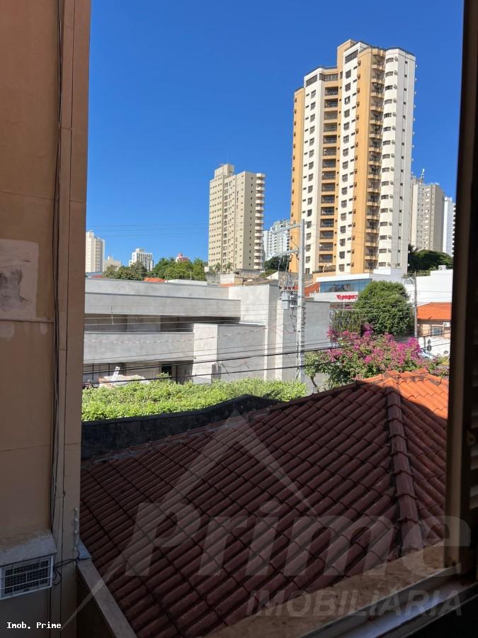 imagem-miniatura