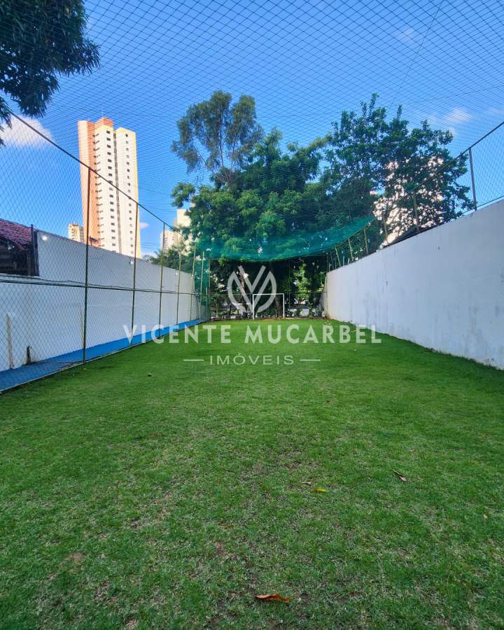 imagem-miniatura