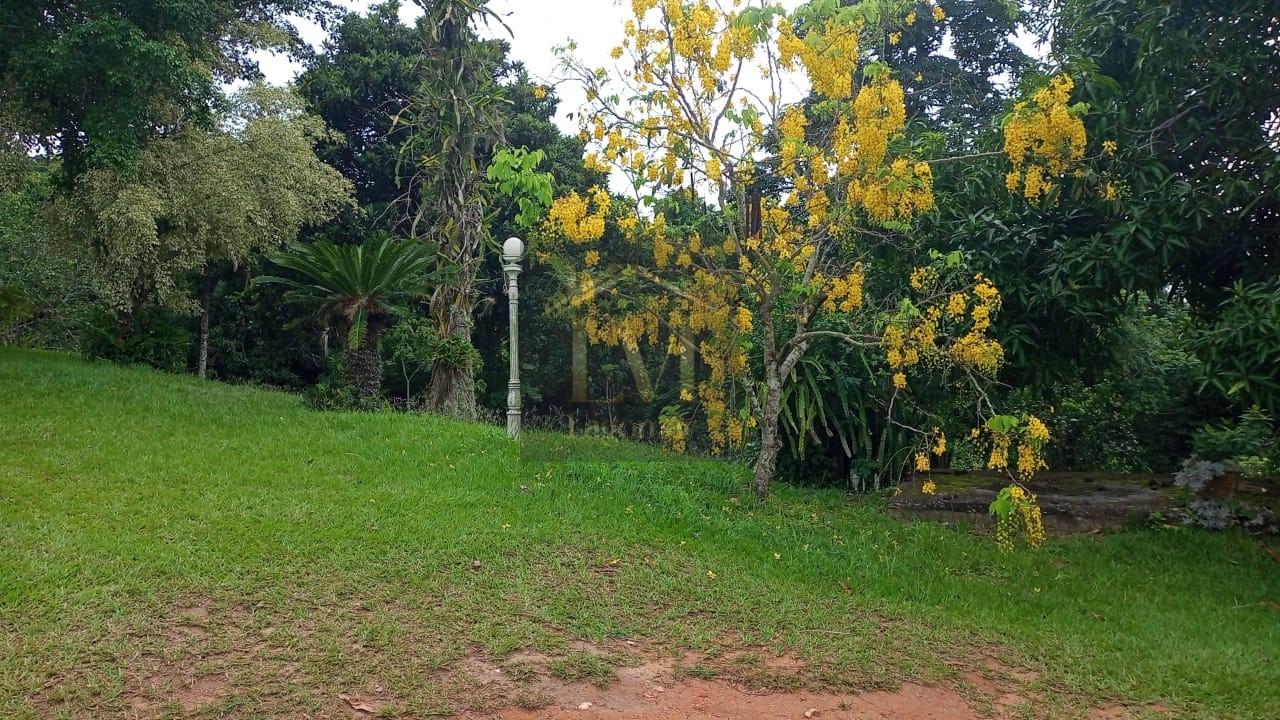 imagem-miniatura