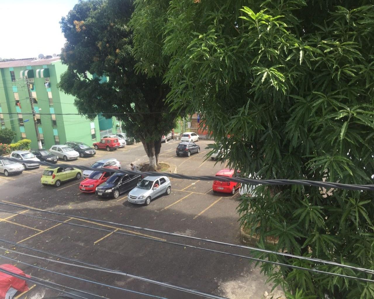 imagem-miniatura