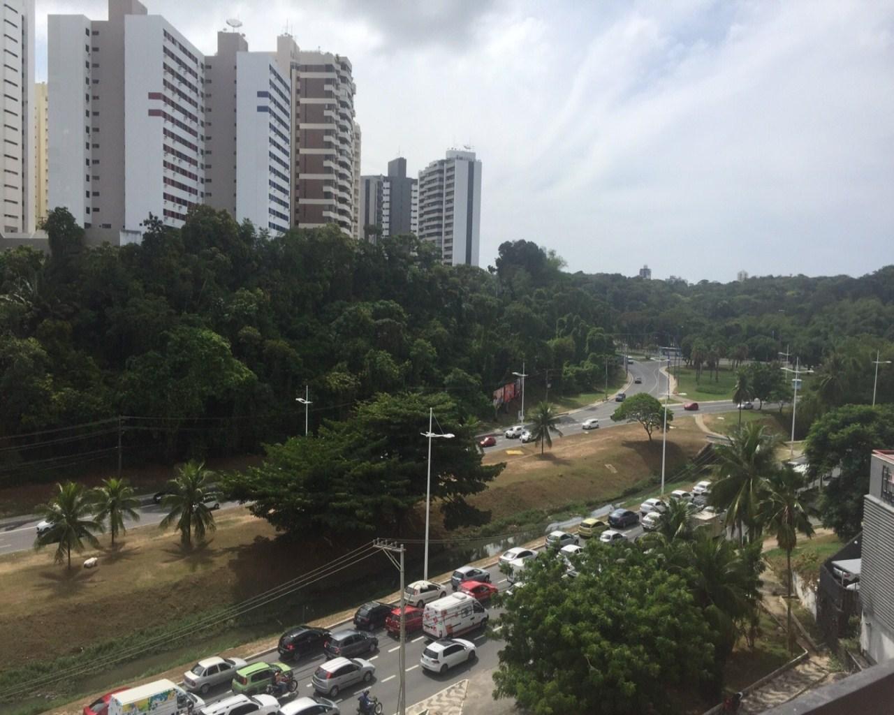 imagem-miniatura