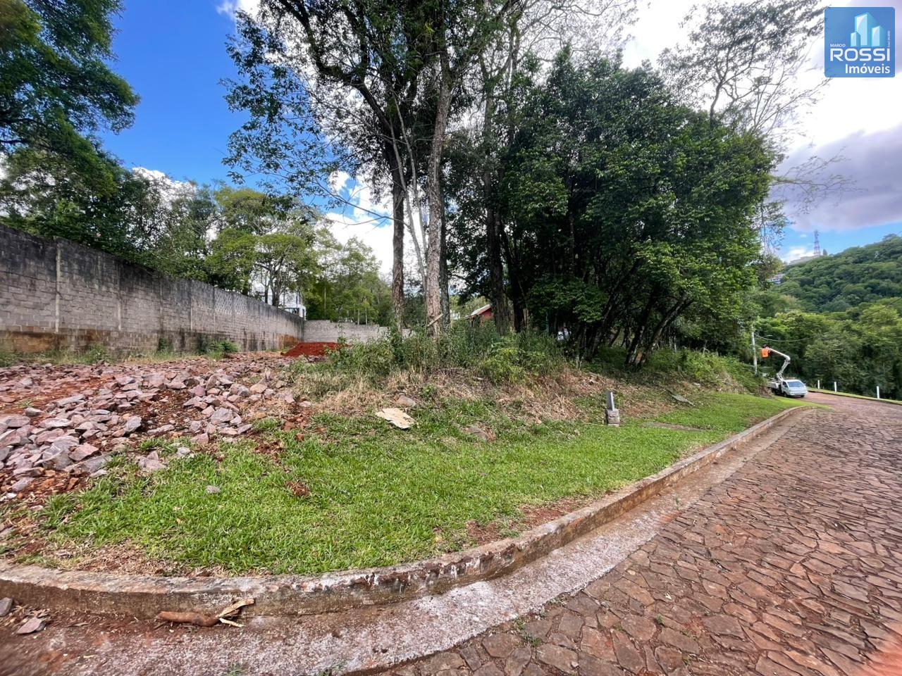 imagem-miniatura