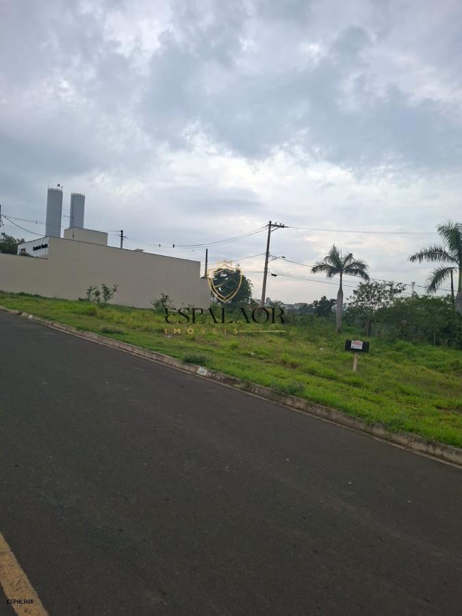 imagem-miniatura