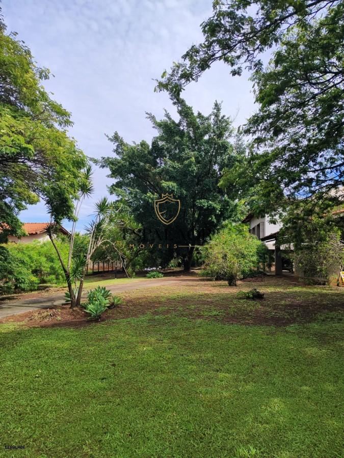 imagem-miniatura