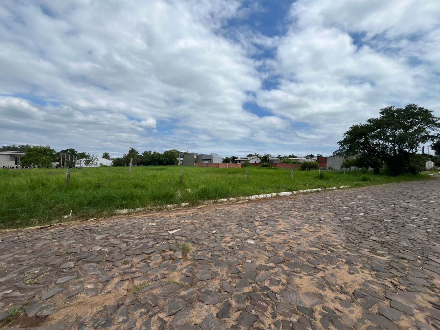 imagem-miniatura