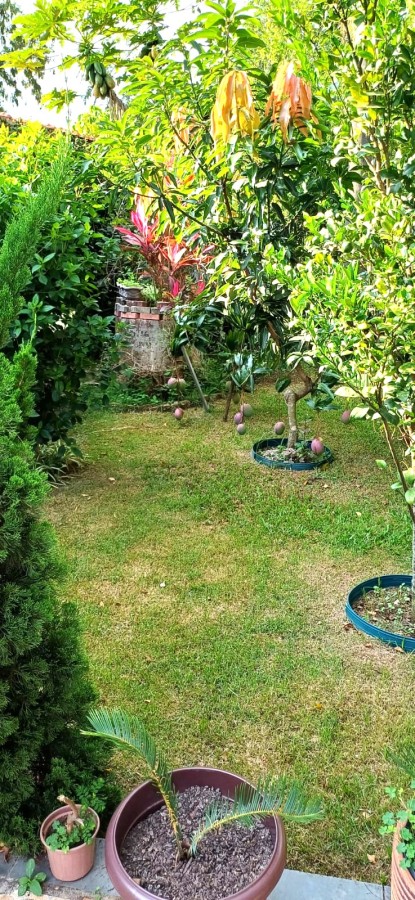 imagem-miniatura