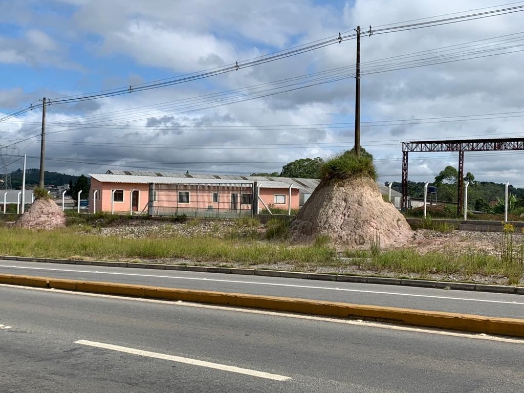 imagem-miniatura