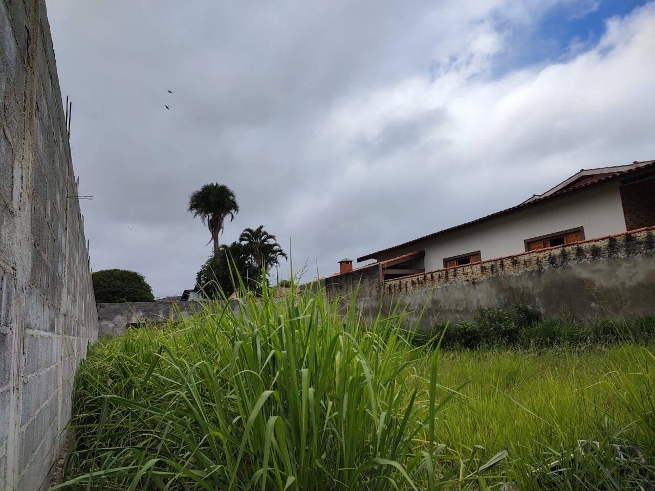 imagem-miniatura