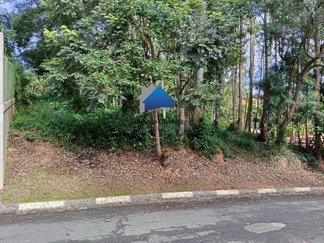 imagem-miniatura