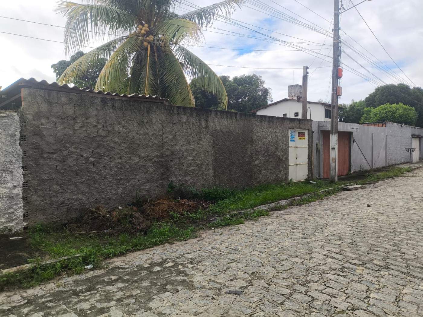 imagem-miniatura
