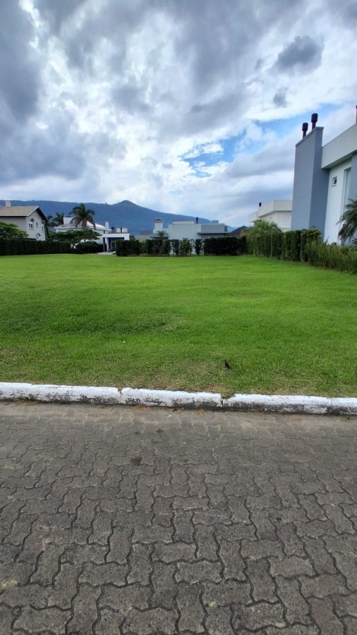 imagem-miniatura
