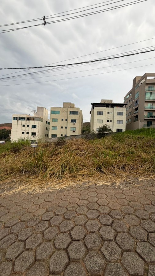 imagem-miniatura