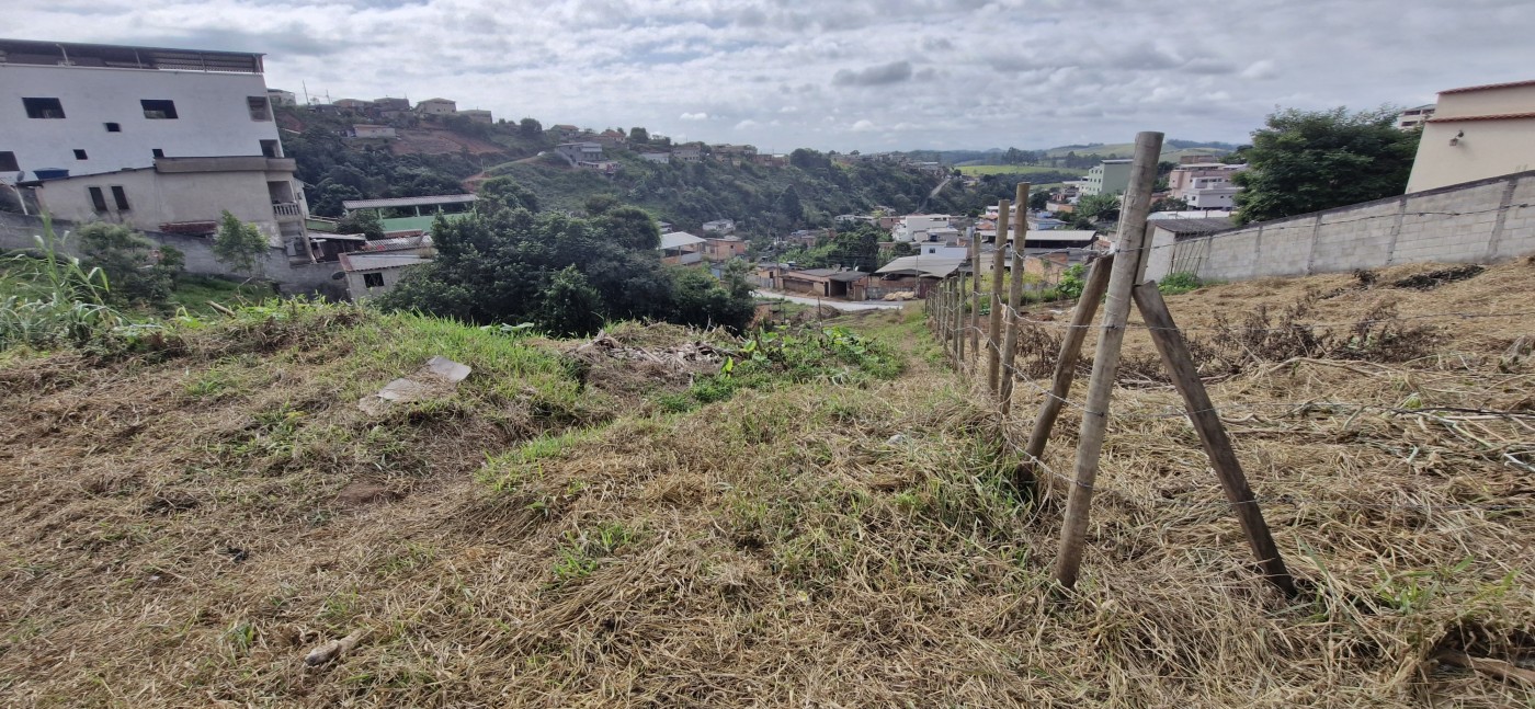 Terreno para Venda, em Barbacena, bairro Nova Su��a