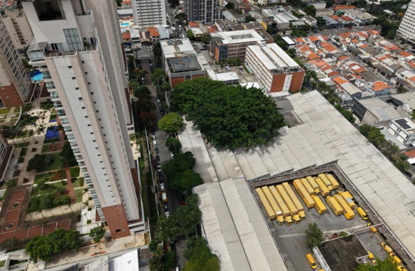 imagem-miniatura