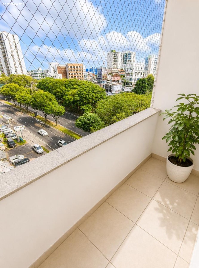 imagem-miniatura