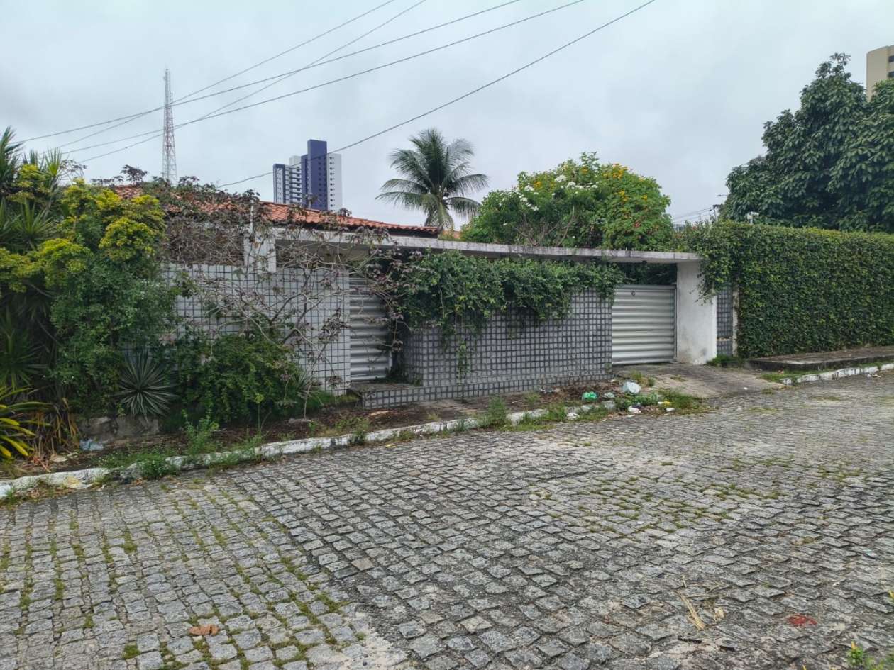 imagem-miniatura