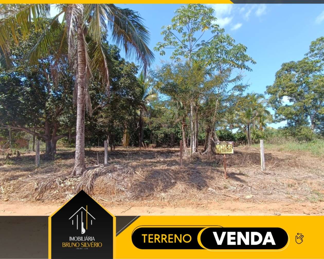imagem-miniatura