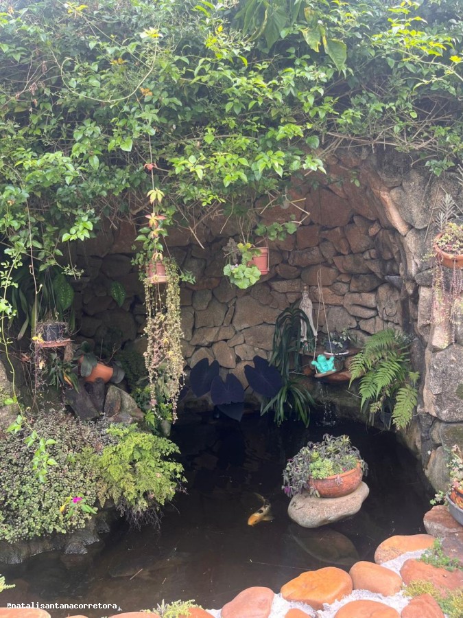 GRUTA COM LAGO DE CARPAS