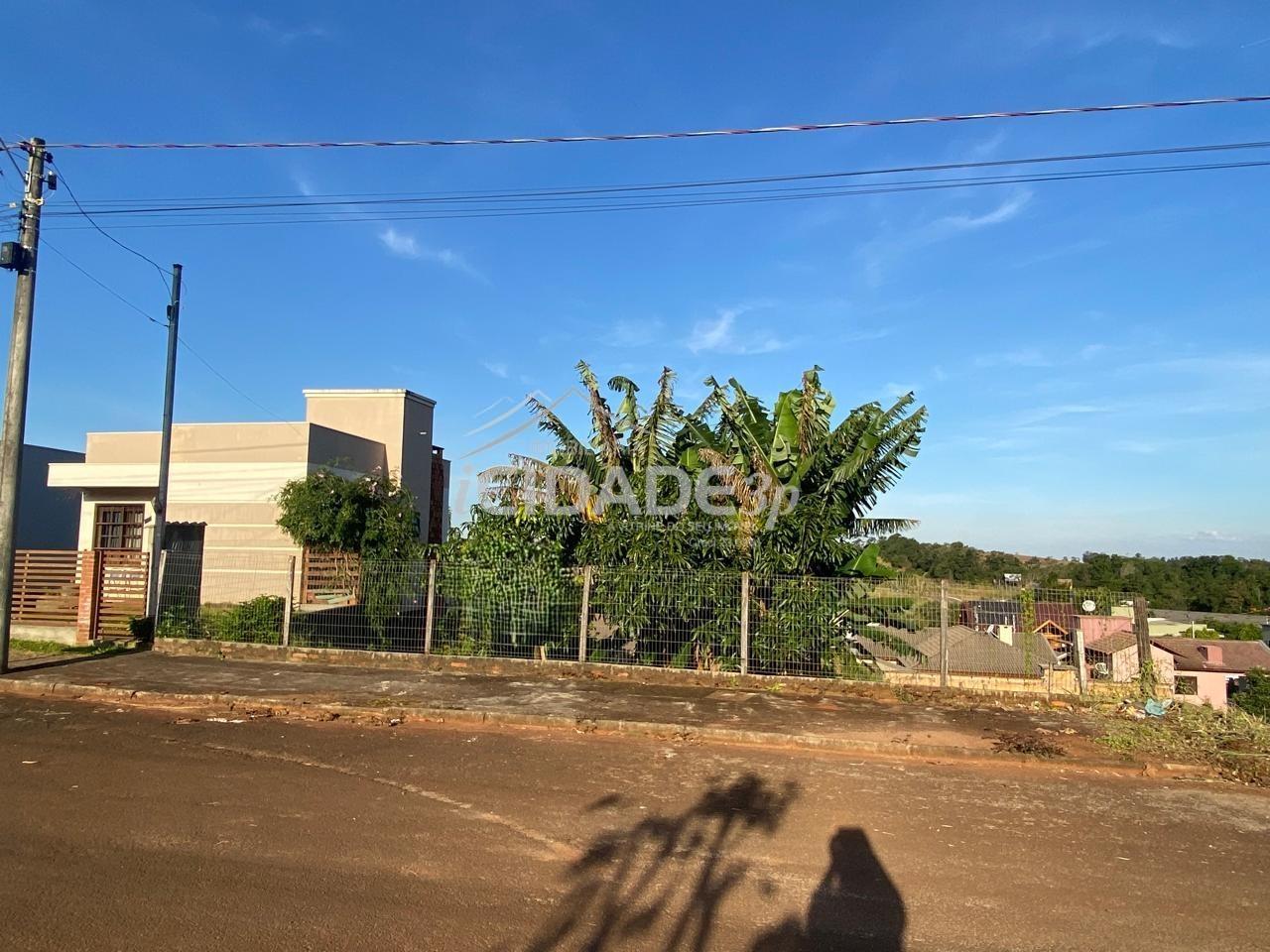 imagem-miniatura