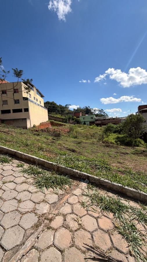 imagem-miniatura