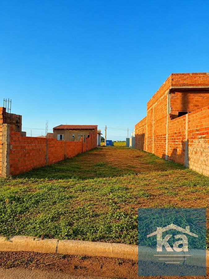 imagem-miniatura