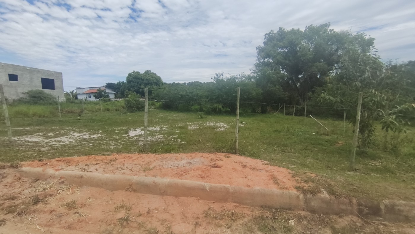 imagem-miniatura