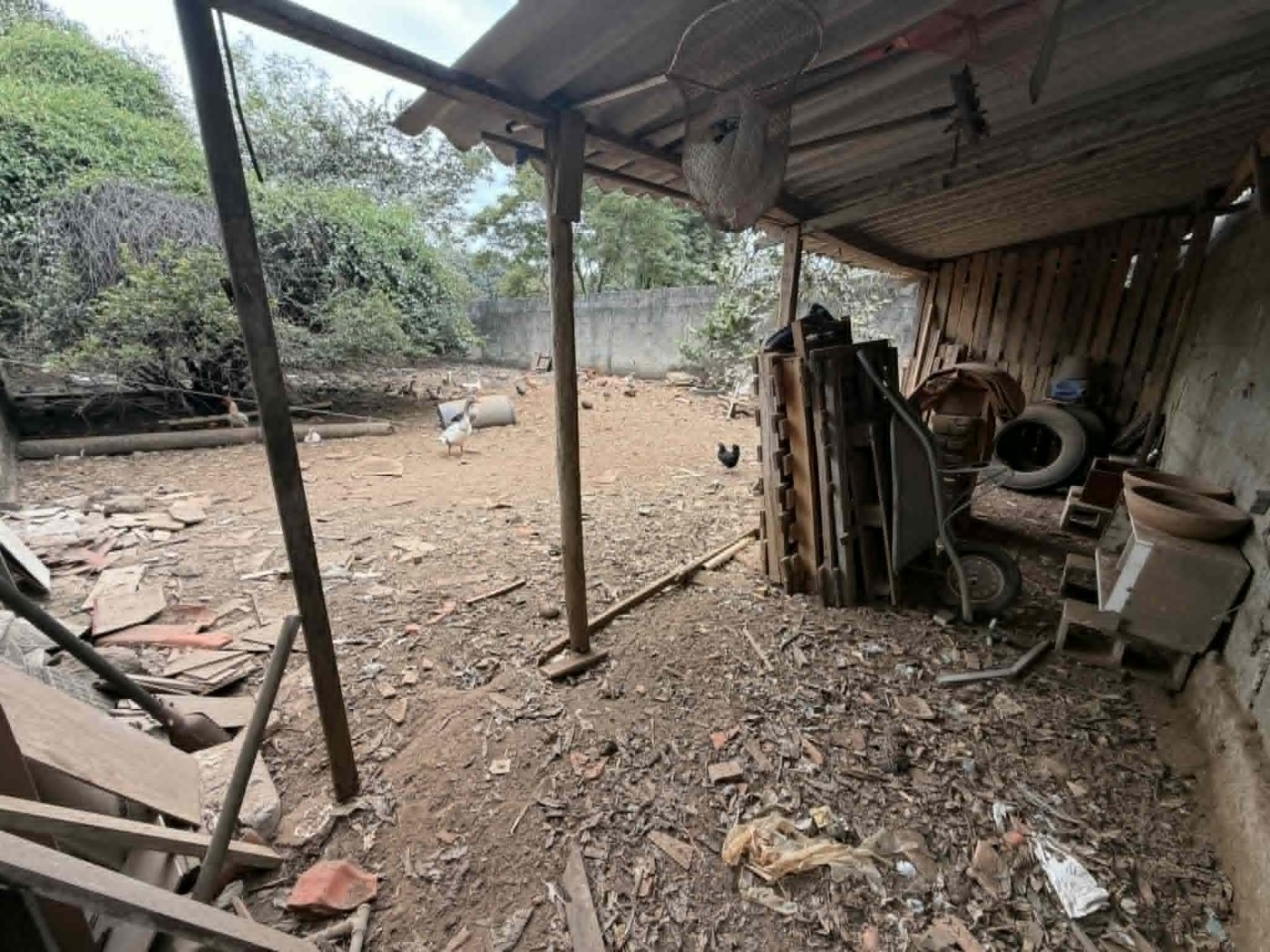 QUINTAL / AREA EXTERNA