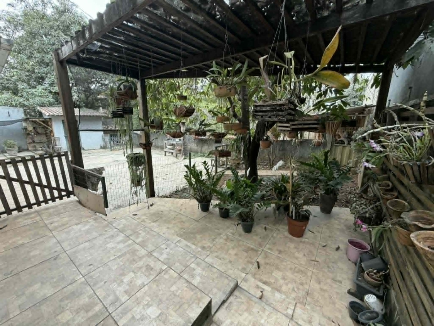 QUINTAL EXTERNO