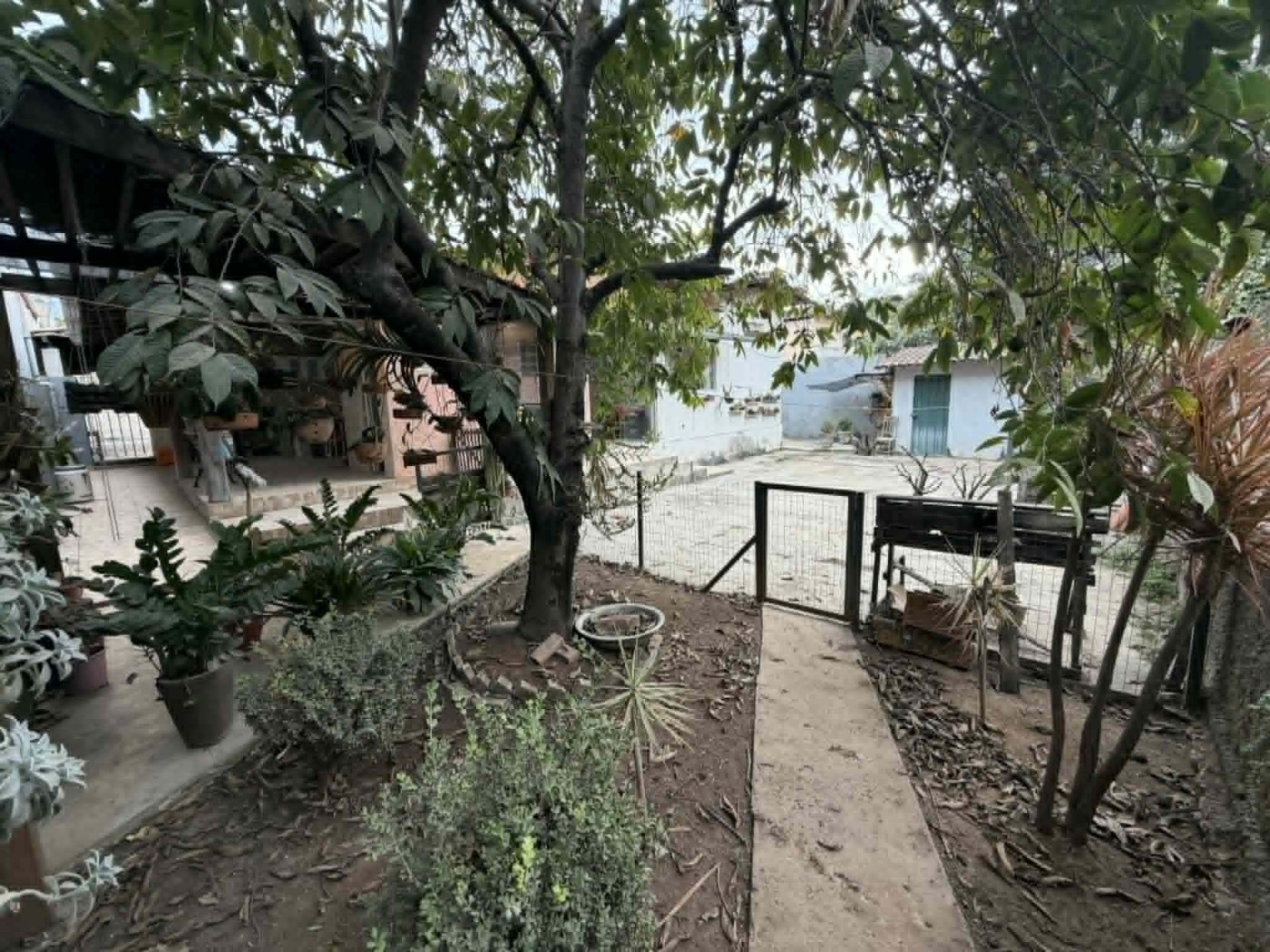 QUINTAL EXTERNO