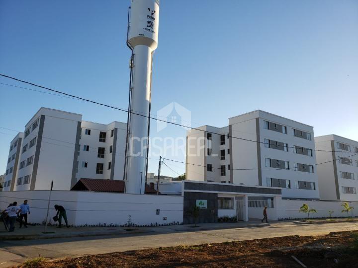 imagem-miniatura